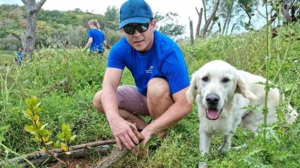 Man and dog clearing vegetation