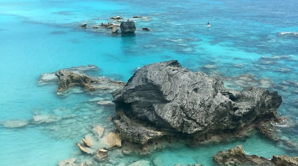 Bermuda shoreline